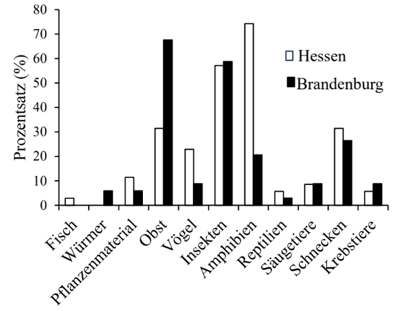 Balkendiagramm: Prozentanteile verschiedener Beutetypen in Hessen (weiß) und Brandenburg (schwarz)